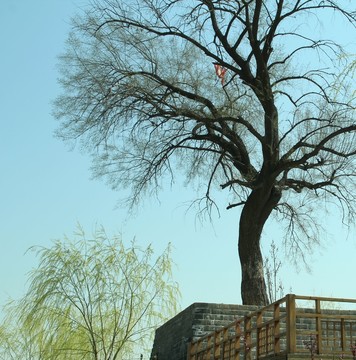 北京慶豐公園