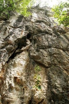 天星橋景區(qū) 尋根巖