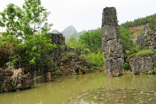 天星橋景區(qū) 水上石林
