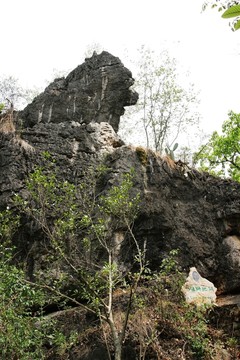 天星橋景區(qū) 雄師把關(guān)