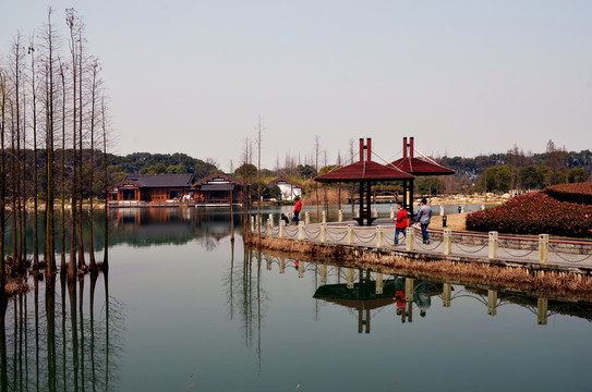 公園