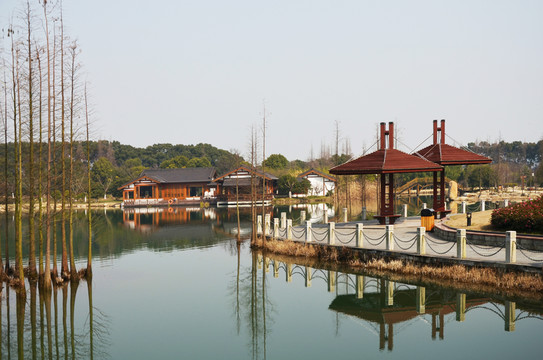 園林風(fēng)光