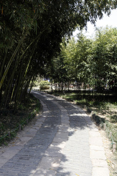 竹林小路