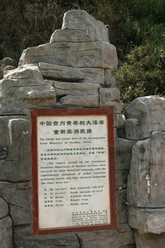 黃果樹瀑布重新實(shí)測(cè)數(shù)據(jù)  碑刻