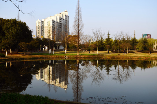 城市風光