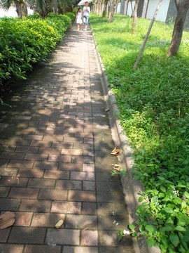 景觀園林-小徑