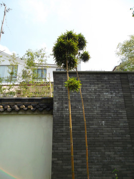 景觀園林