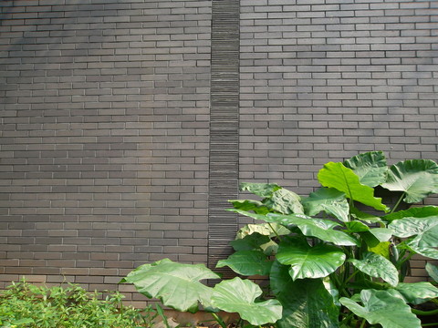 景觀園林