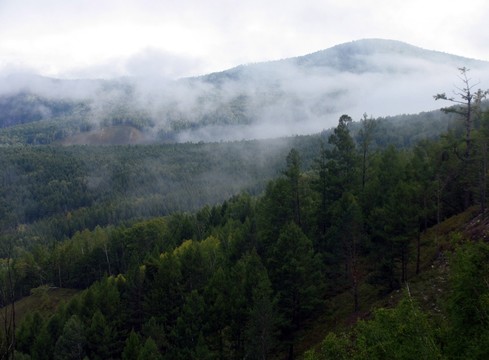 晨霧山林