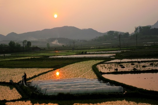 桂林 暮色水田