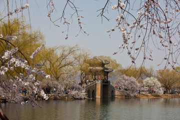 春色滿園