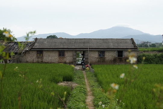 農(nóng)家