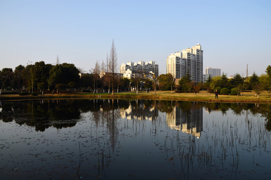 公園風(fēng)景