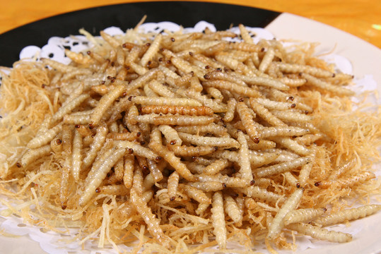 酥炸竹蟲