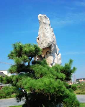 山石