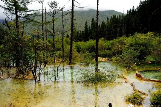 四川黃龍風(fēng)光