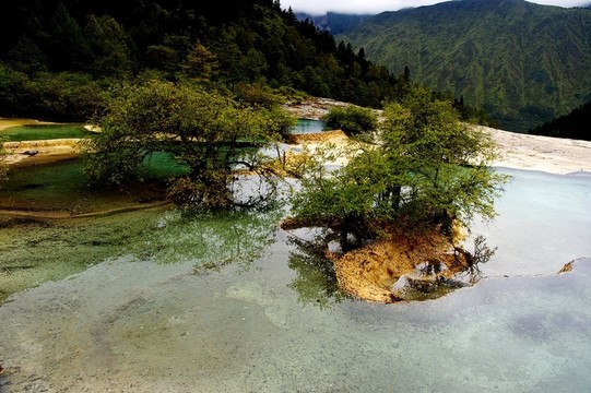 四川黃龍風光