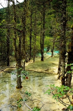 四川黃龍風(fēng)光