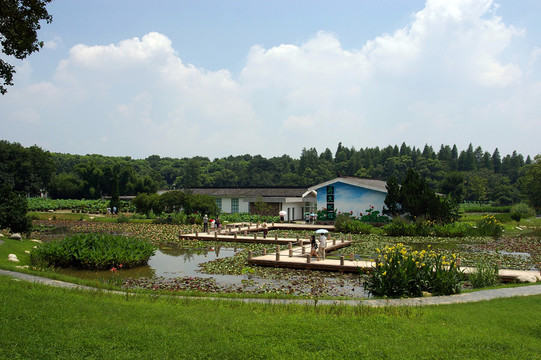 武漢東湖磨山風(fēng)光