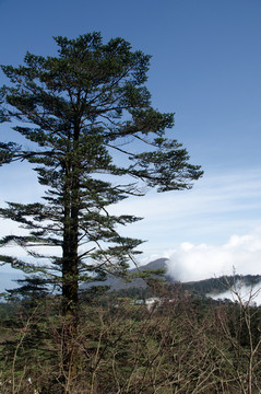 峨眉山風(fēng)光