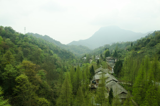 農(nóng)村風(fēng)光