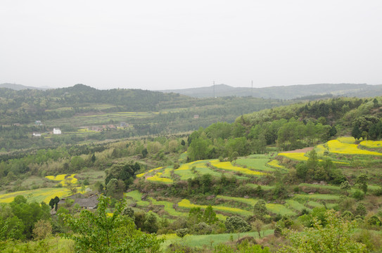 農(nóng)村風(fēng)光