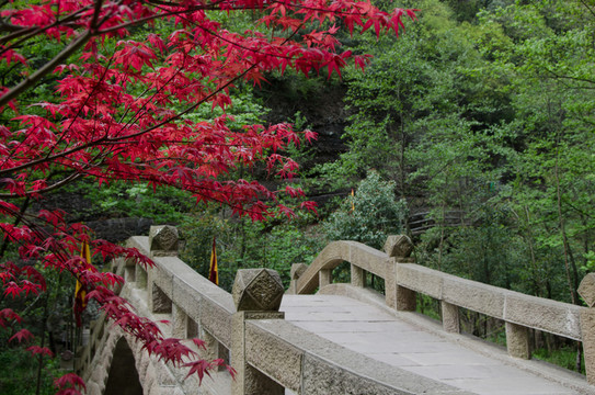 小橋