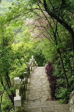 柳州 蟠龍山公園