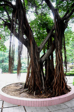 廣州越秀公園