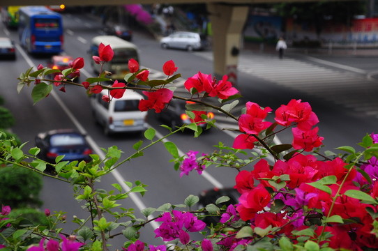 廣州越秀區(qū)街景