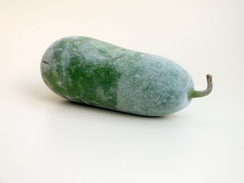 冬瓜