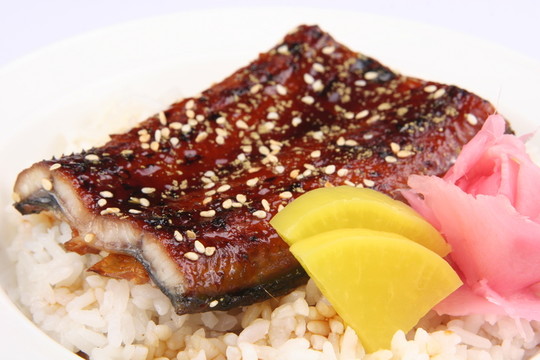 鰻魚(yú)飯