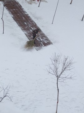 掃雪