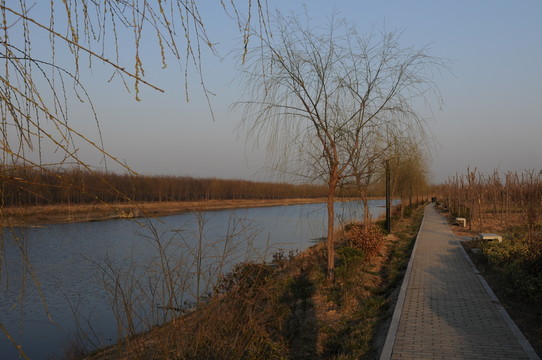 公園