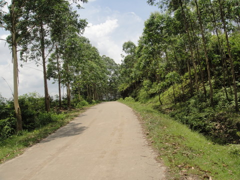 鄉(xiāng)村公路