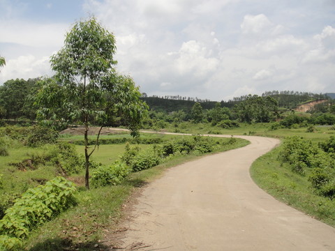 鄉(xiāng)村小路