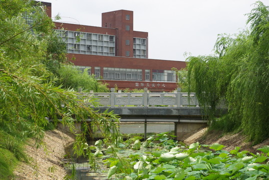江西師大校園