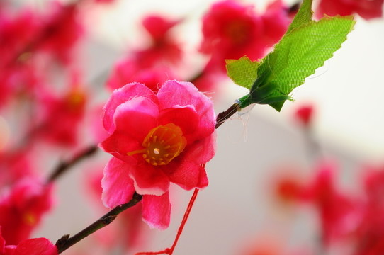 布藝花卉