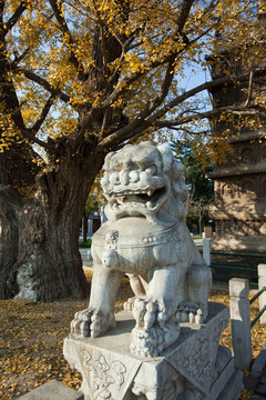 石獅子