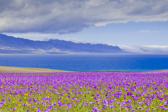 草原湖泊