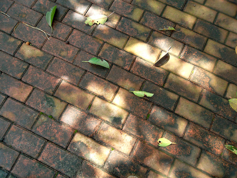 園林景觀 徑道