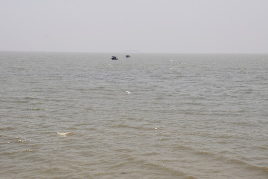 巢湖水