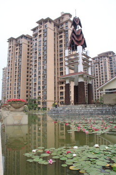 住宅建筑