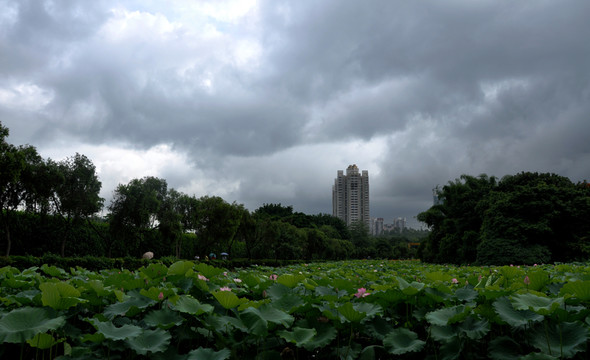 云中樓宇