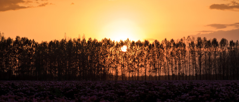夕陽