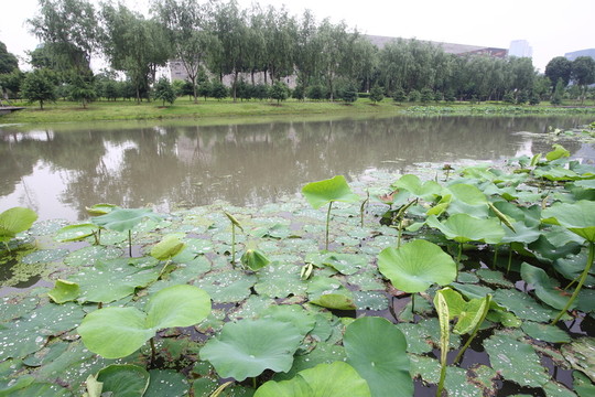 寧波博物館