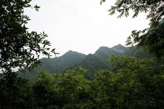 陜西山陽天竺山國家森林公園