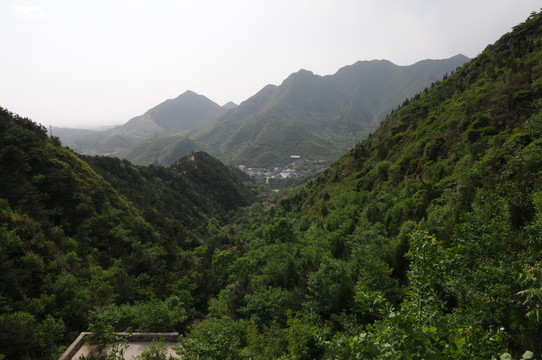青山