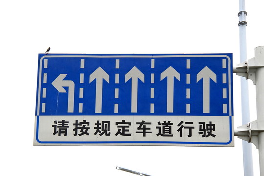 城市道路標牌