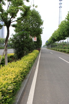 城市道路